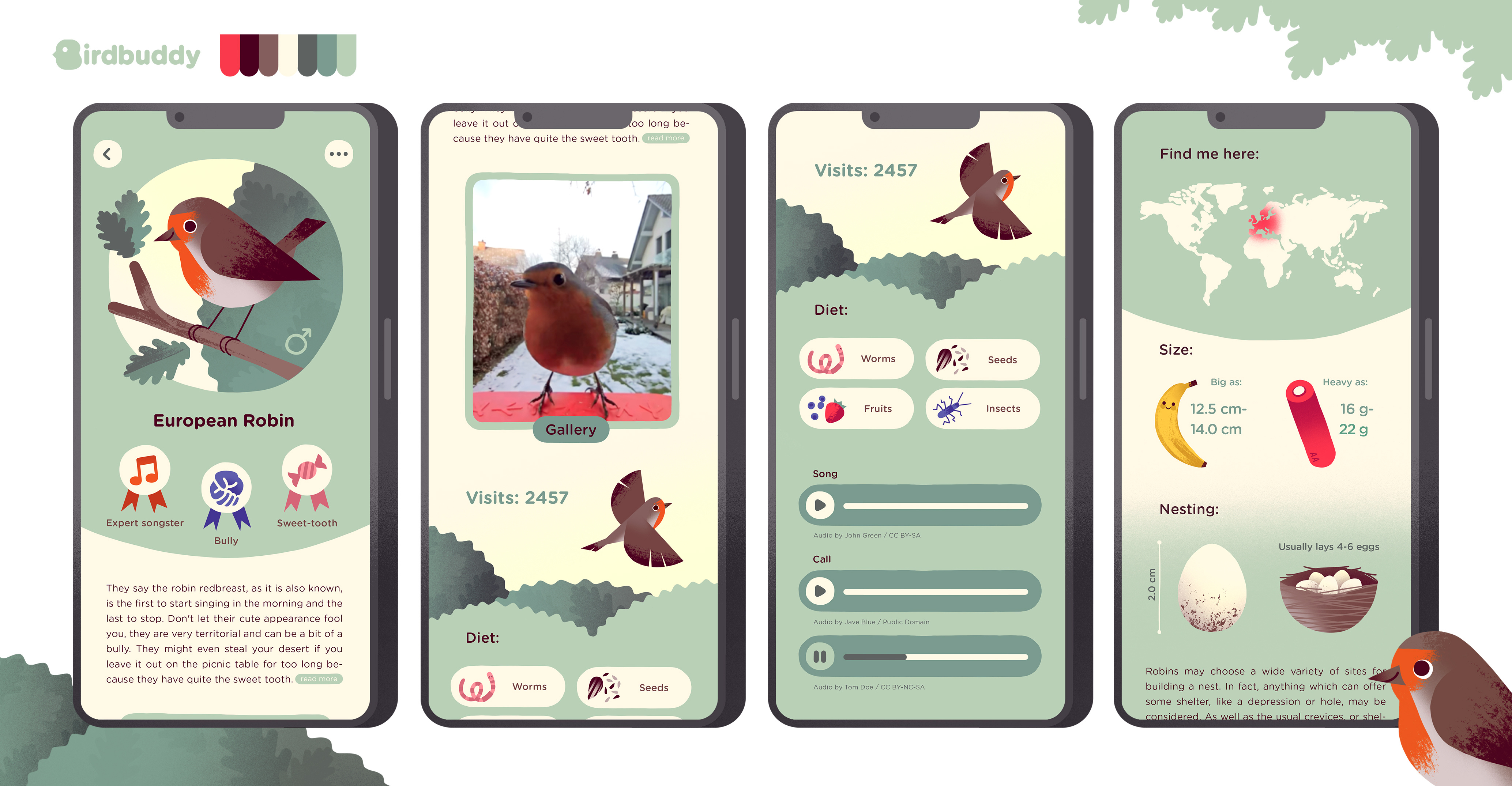 Bb App Redesign birdwatching illustration mobileapp ui uidesign