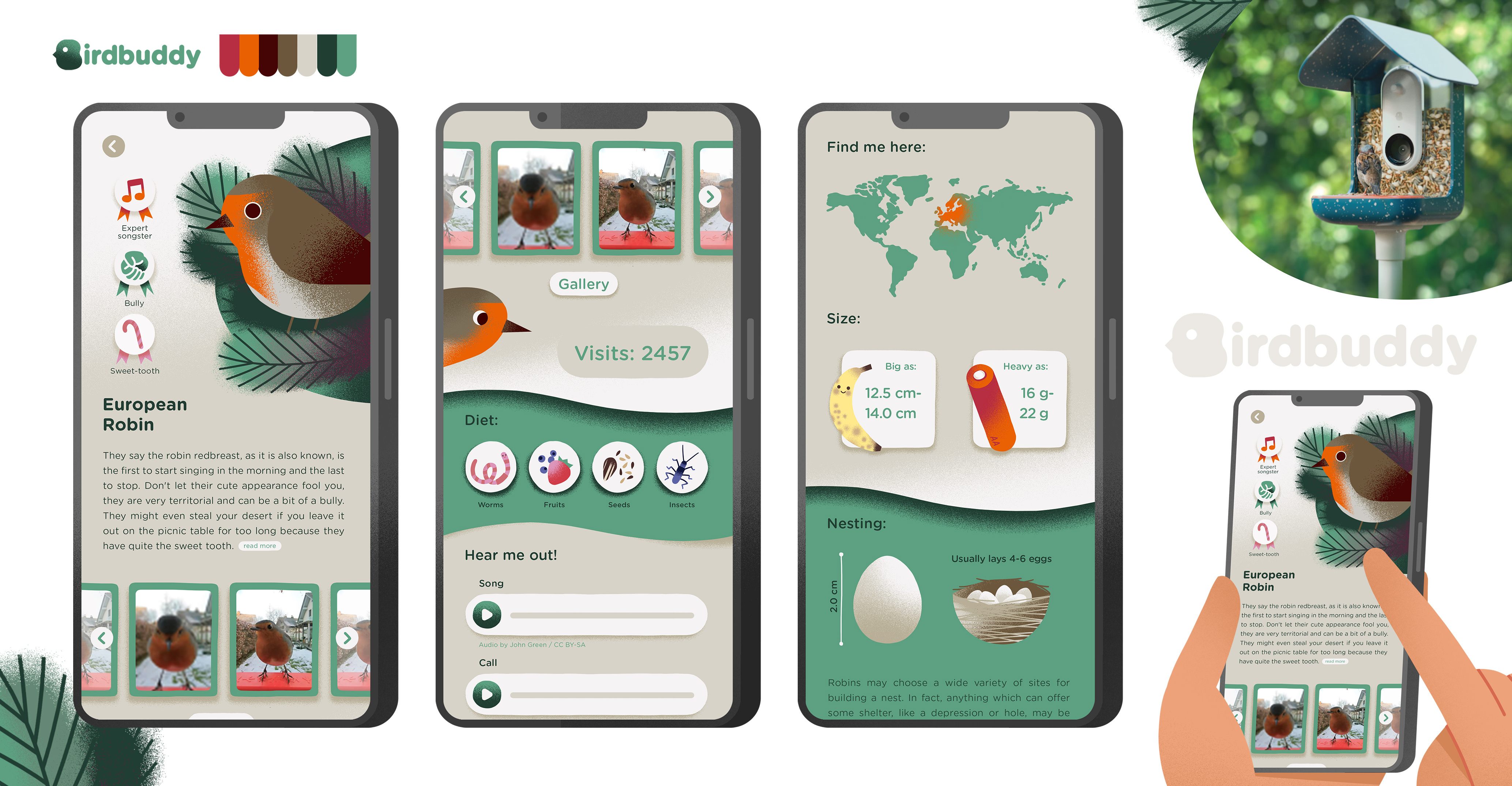 Bb App Redesign bird birdwatching ill illustration mobileapp nature ui uidesign