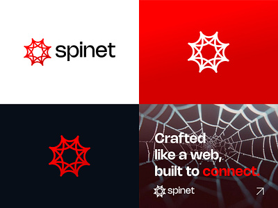 Spider web logo, Networks, Cyber, Cobweb logo design branding cobweb connection logo cyber net logo network security logo smartnetwork spider spider ai logo spider logo spider net logo spider tech logo spider web spiderweblogo spinet spinningideas web 3 logo webconnectivity