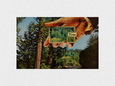 Februllage 2025 - Trees - Day 1 art collage collage art collage maker collages collagist digital digital collage graphic design illustration shapes textures vintage vintage collage