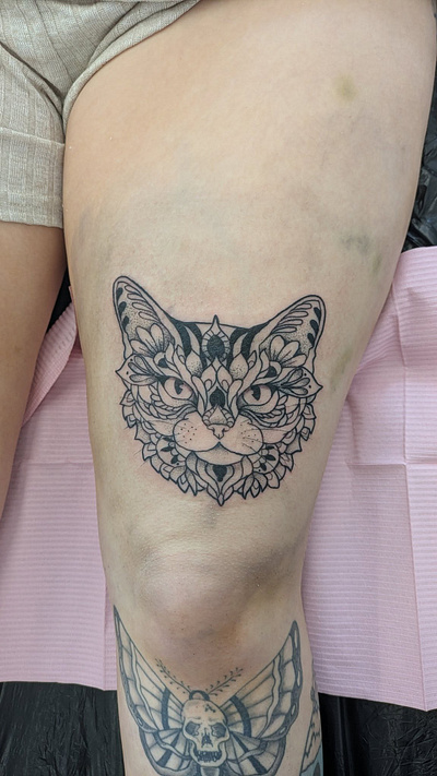 Mandala style cat. cat catlover dotwork kitty linework mandala mandalacat tattoo uktattoo wirralartist wirraltattoo