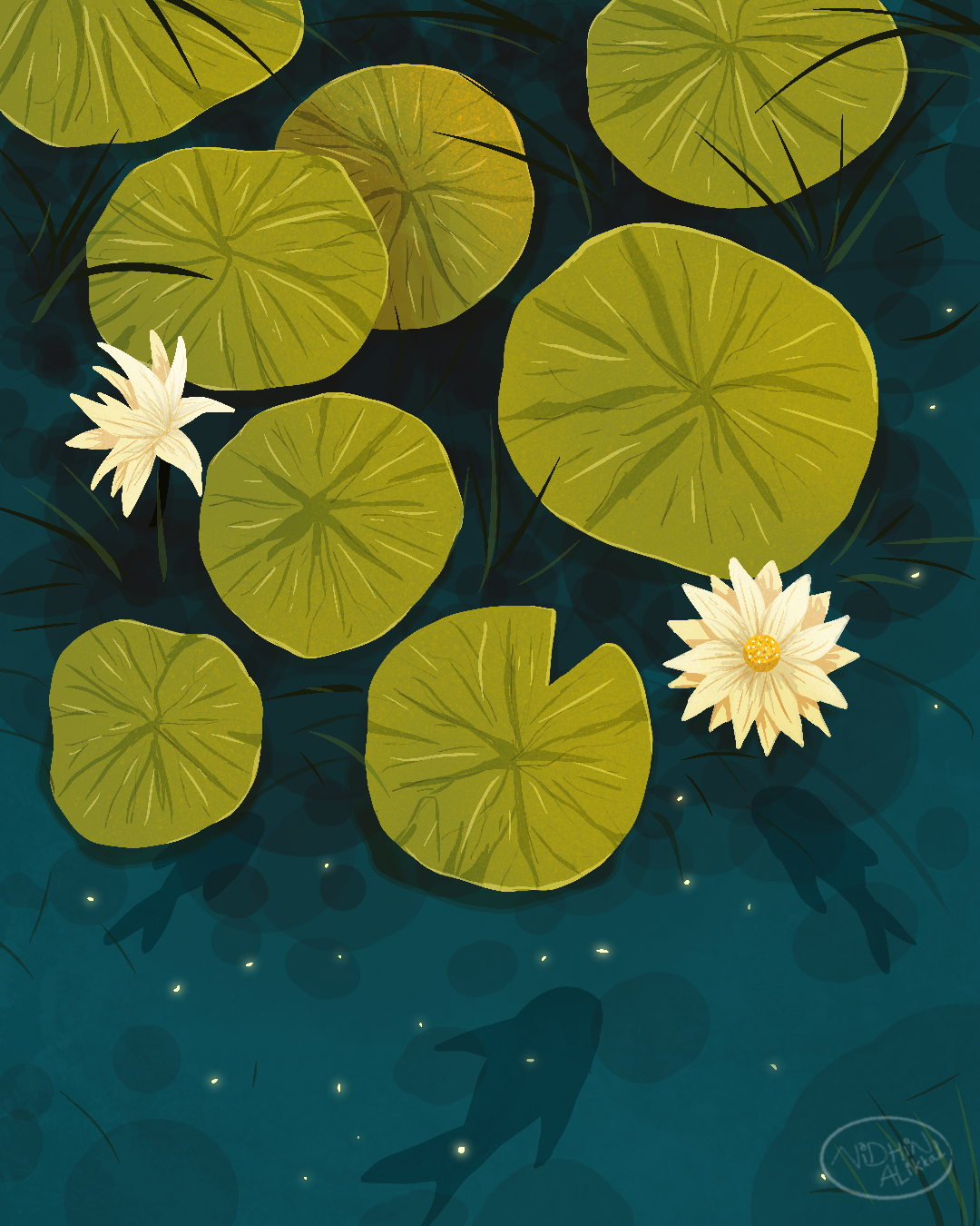 Lotus illustration, Book Cover Mockup book cover design book illustration design graphic design illustration procreate