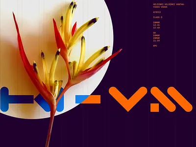 Tropical Geometry Airline Visual Identity airline airline branding aviation style brand direction branding branding concept flower graphic geometric type graphic flora grid system identity exploration logo study modular lettering ticket layout travel design tropical contrast typography visual identity vivid composition warm gradient