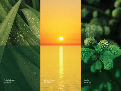 Solar Energy Brand Color Inspiration - Lumora solar energy solar identity