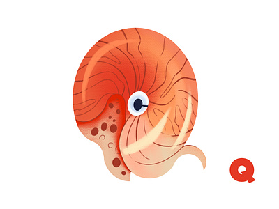 ABC letter. Educational games for children. Education. Nautilus abc art branding children clams design digital art educational games graphic design illustration kids design learning through play nautilus sea underwater