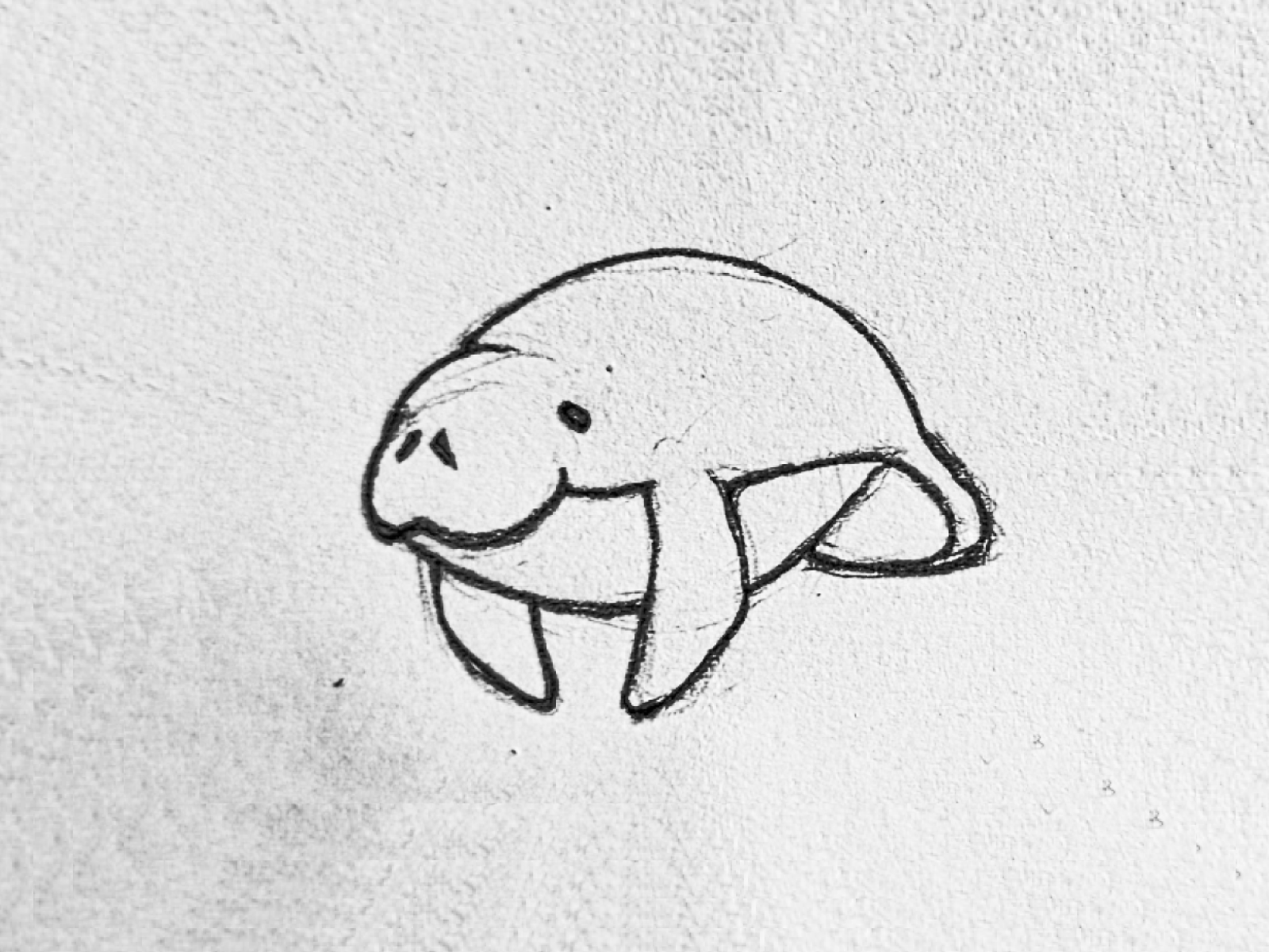 Manatee sketch animal cute icon idea illustration ink line logo manatee nature sketch water