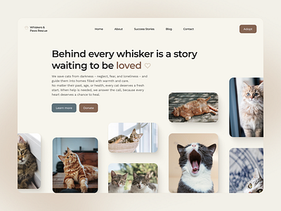 Cat adoption landing page adoption adoption website animal charity beige cat cats cats adoption charity website clean donation graphic design social impact ui ui design uiux uxui web web design website website design