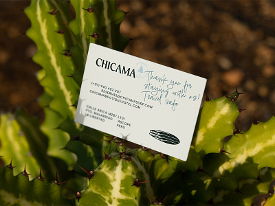 CHICAMA Branding branding businesscard corporate design download free freebie identity logo mockup mockups paper psd sunbeds template typography