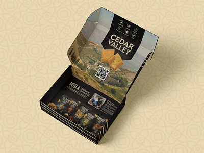 Influencer Box for CPG Brand box branding chip cpg food influencer shipping