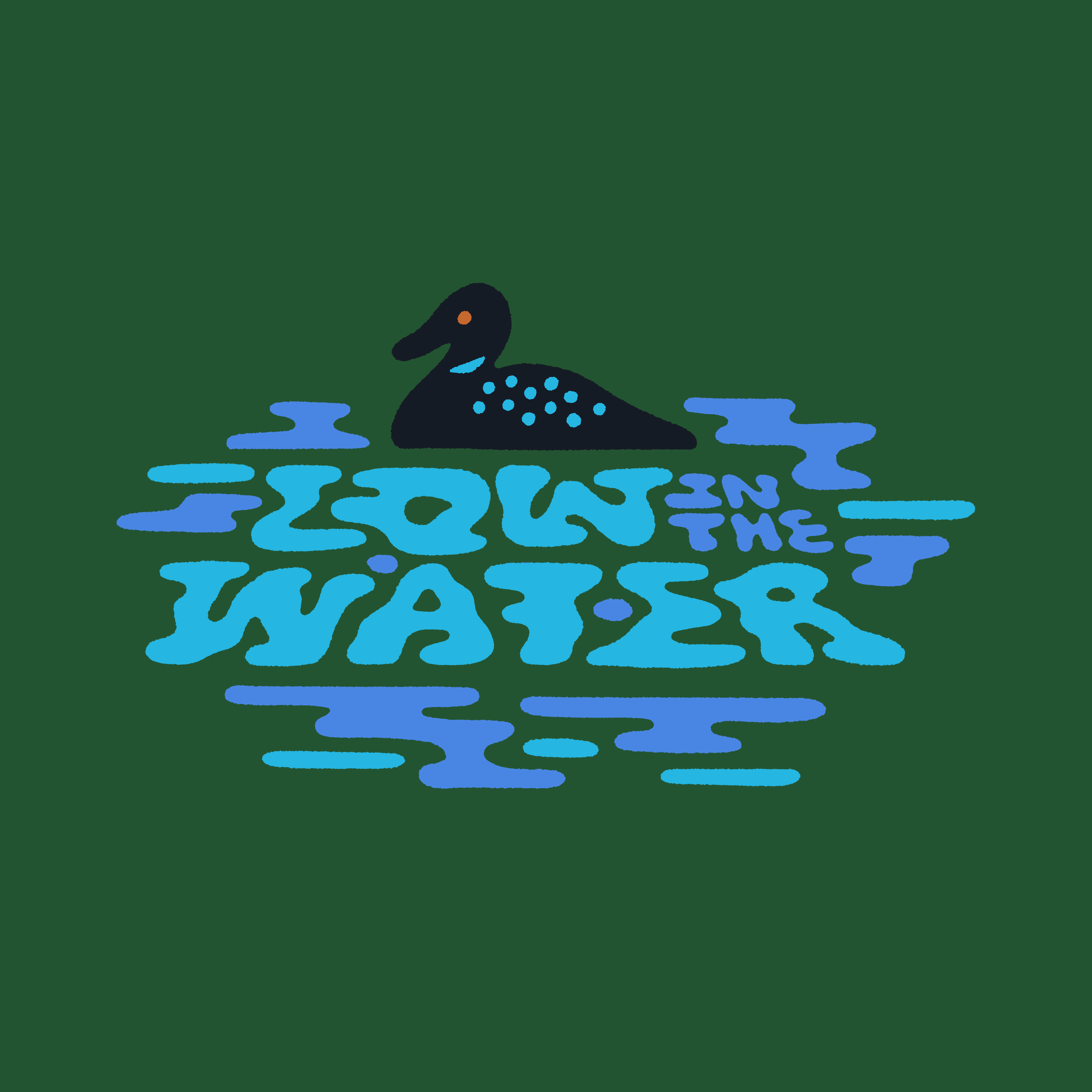 Low in the Water bird cover lettering loon low minnesota podcast typography water
