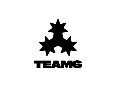 TEAM6 brand identity branding branding design design icon logo logo design logo mark logo type logobook logofolio logomark logos logotype mark vector visual identity y2k y2k aesthetic