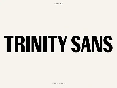 Sans Typeface Branding Asset brand identity branding branding asset clean layout custom typography design clarity digital font display sans editorial design font pairing geometric sans graphic branding headline type logo font modern font sans serif sans typeface type showcase typography visual strength
