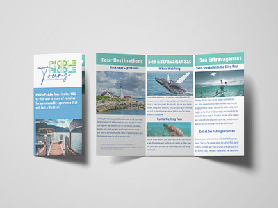 Piddle Paddle Tours Brochure advertisment branding graphic design print design