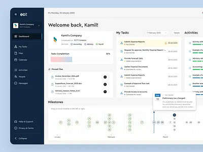 Customer Facing Portal - Dashboard client portal dashboard graphic design graphs interfaces milestones ui ux