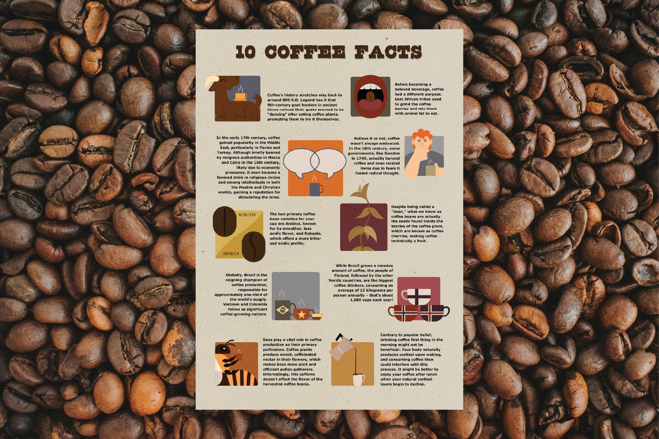 Infographic - 10 Coffee Facts 2d adobe illustrator café coffee design facts graphic design illustration infographic texture top 10 vector
