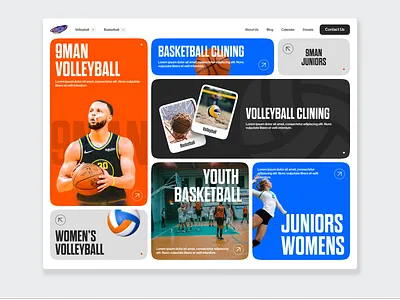 Sports Bento Box basketball bento box colorful organization sports team volleyball