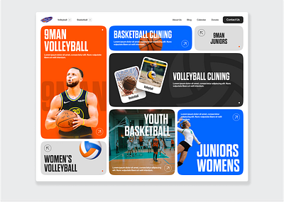 Sports Bento Box basketball bento box colorful organization sports team volleyball