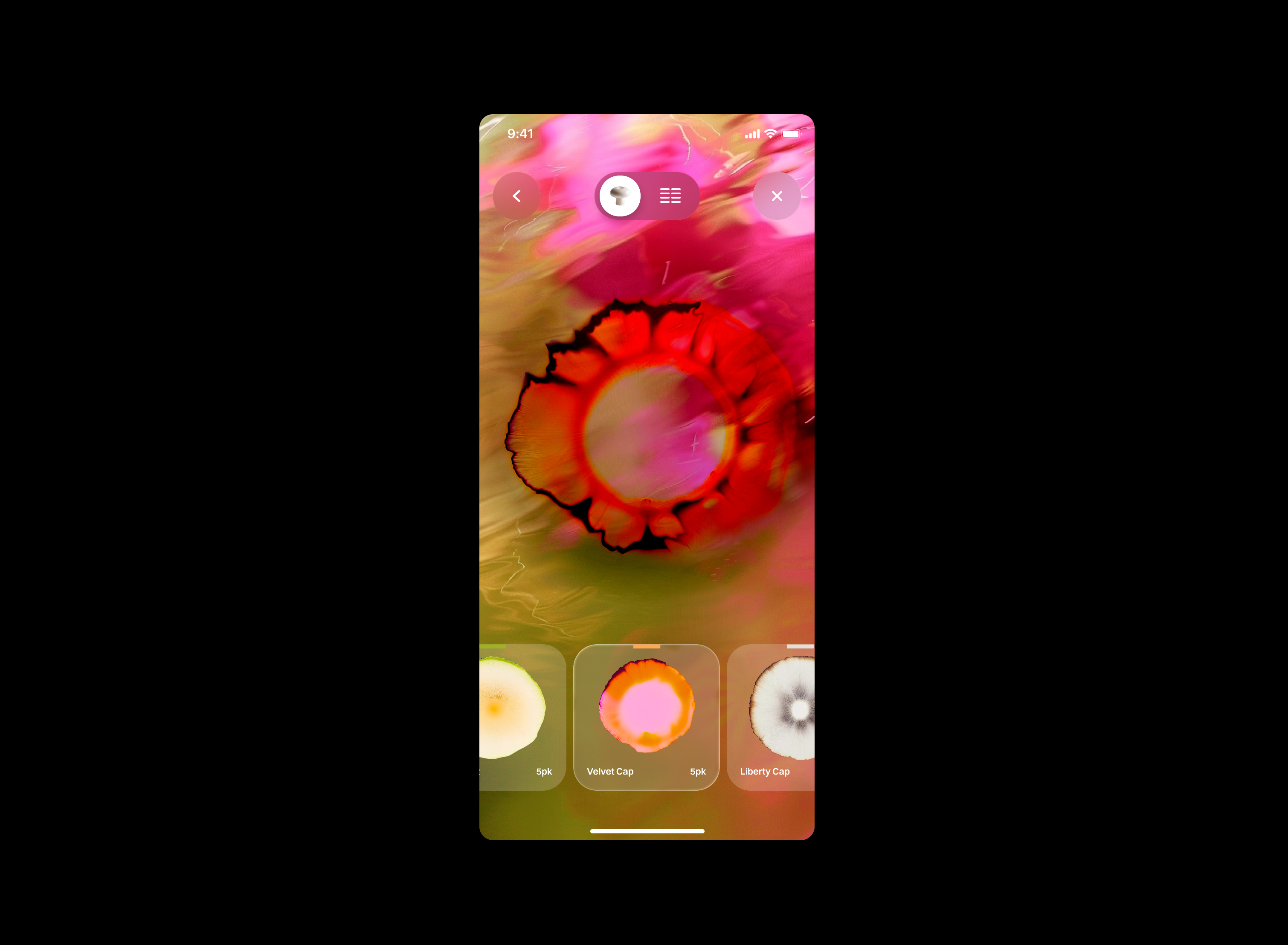 Shrmms animation graphic design product ui