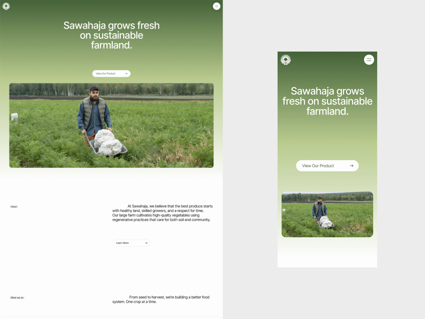 Example of Website Design & Dev