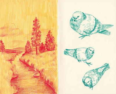 Sketchbook Spread art birds coloredpencil illustration landscape pigeon sketchbook sketching traditionalart