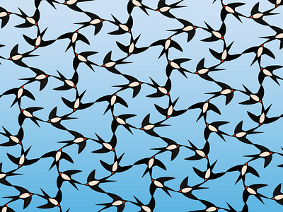 Summer animal bird drawing flock fly illustration nature sky summer swallow