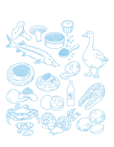 Beluga fish, caviar tin, goose, truffles, escargot branding coloring book page coloring page design graphic design illustration line art logo ui vector