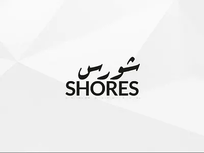 Shores Hero Section branding illustration interface landing page logo ui ux web design website
