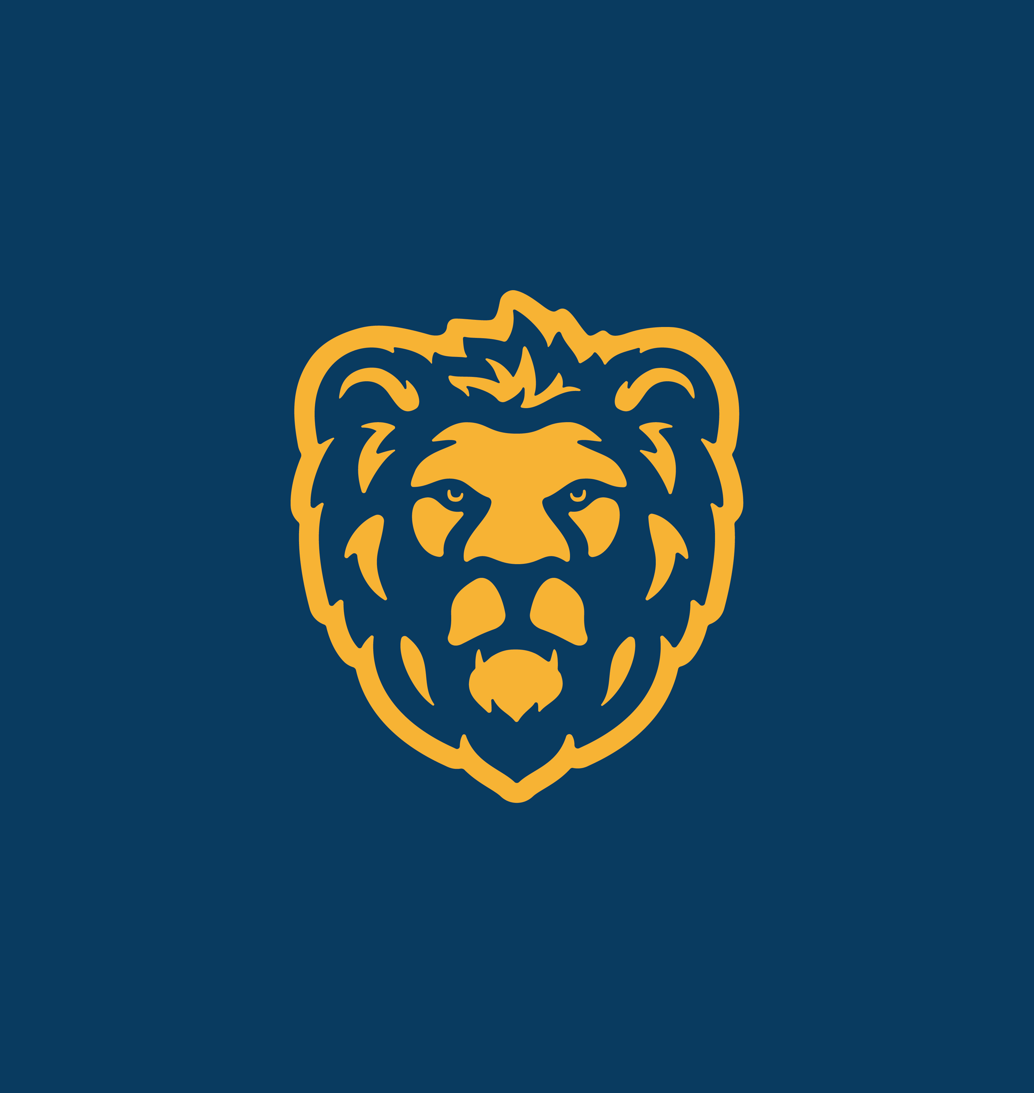 Example of Lion Mascot