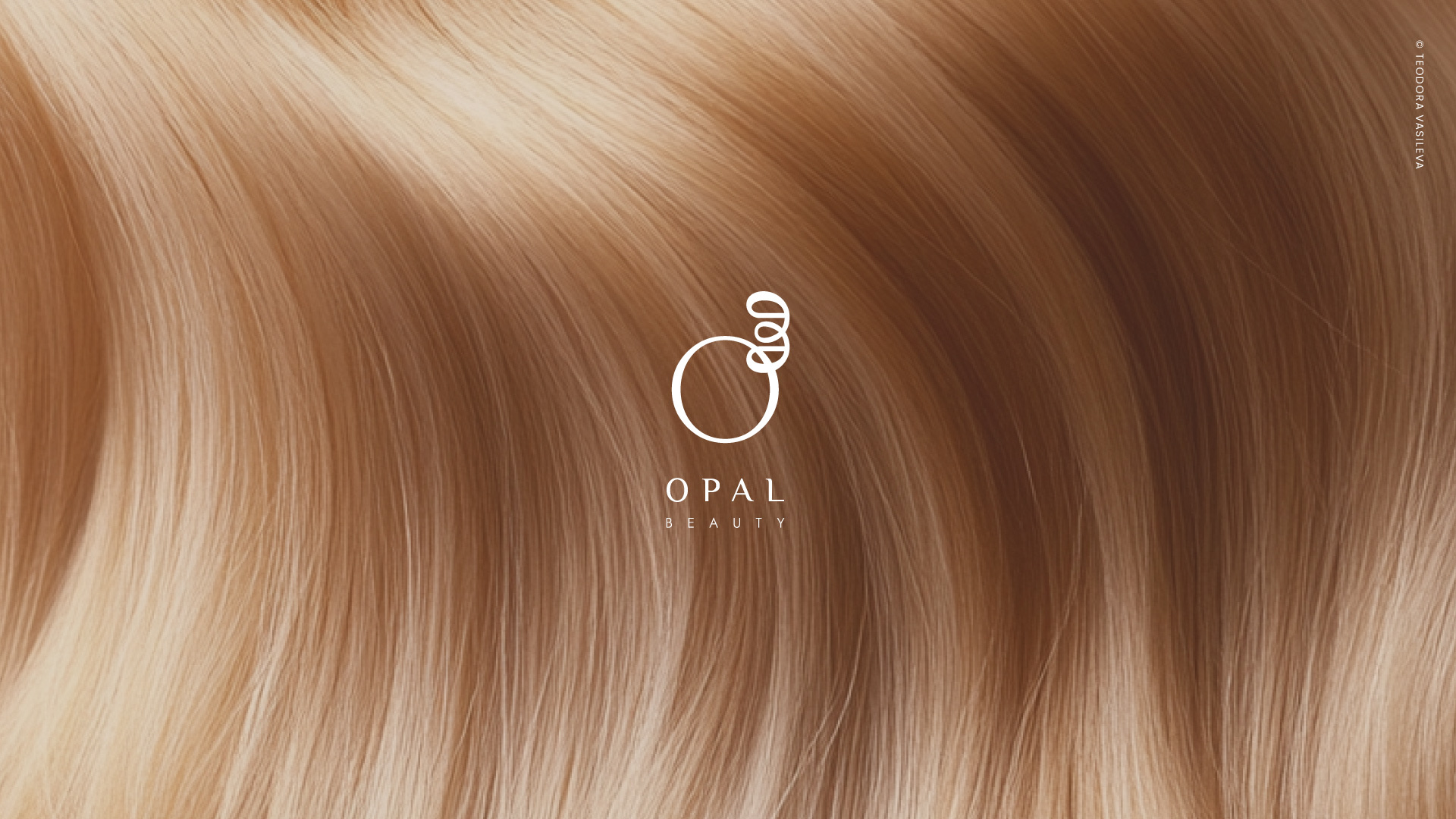 Example of Logo & Brand Identity Design