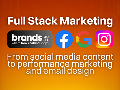 10X ROAS - Full Stack Marketing for Ecommerce Brand ads management email design social media content social media management