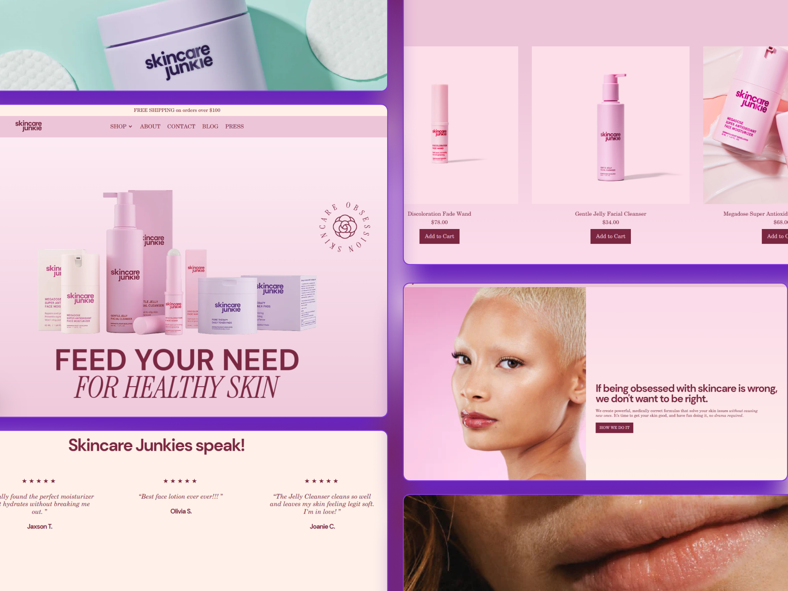 Example of Ecommerce Website Design And Development