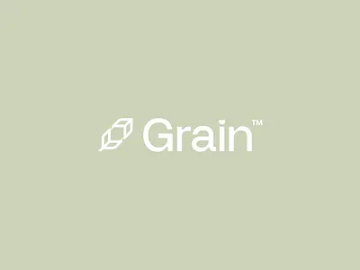 Grain™ Branding Design app logo brand brand design brand identity branding branding design finance logo futuristic grain grain logo identity logo minimal logo saas startup visual visual identity