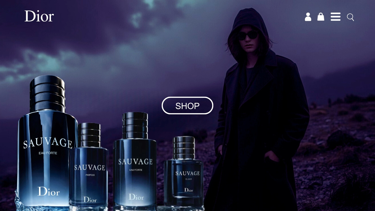 Ecommerce Website Design Dior Style 3d animation branding design graphic design illustration logo ui ux vector