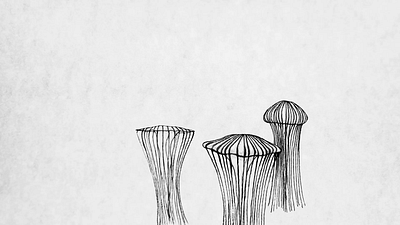 Diminuendo - Henrike Lendowski animation conceptual illustration editorial illustration environment environmental framebyframe illustration illustrationart illustrationartist illustrationzone illustrator