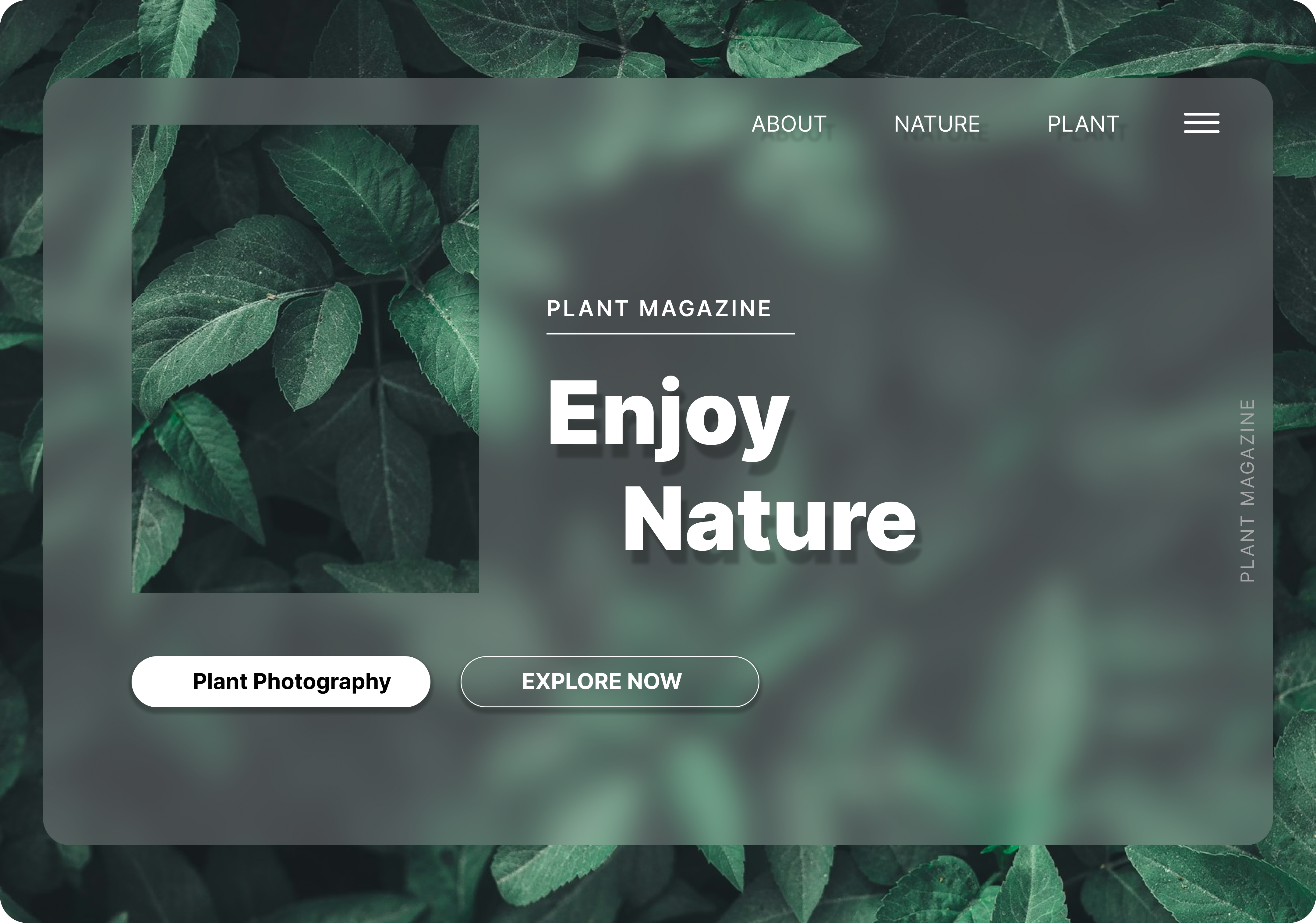 Plant Magazine app design graphic design ui ux web web design