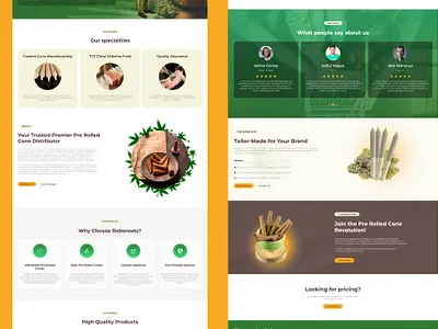 Landing page for pre rolled cones business illustration