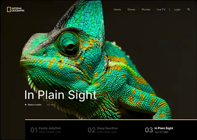 🎬 National Geographic Teaser - Motion Practice animation motion graphics ui ux design