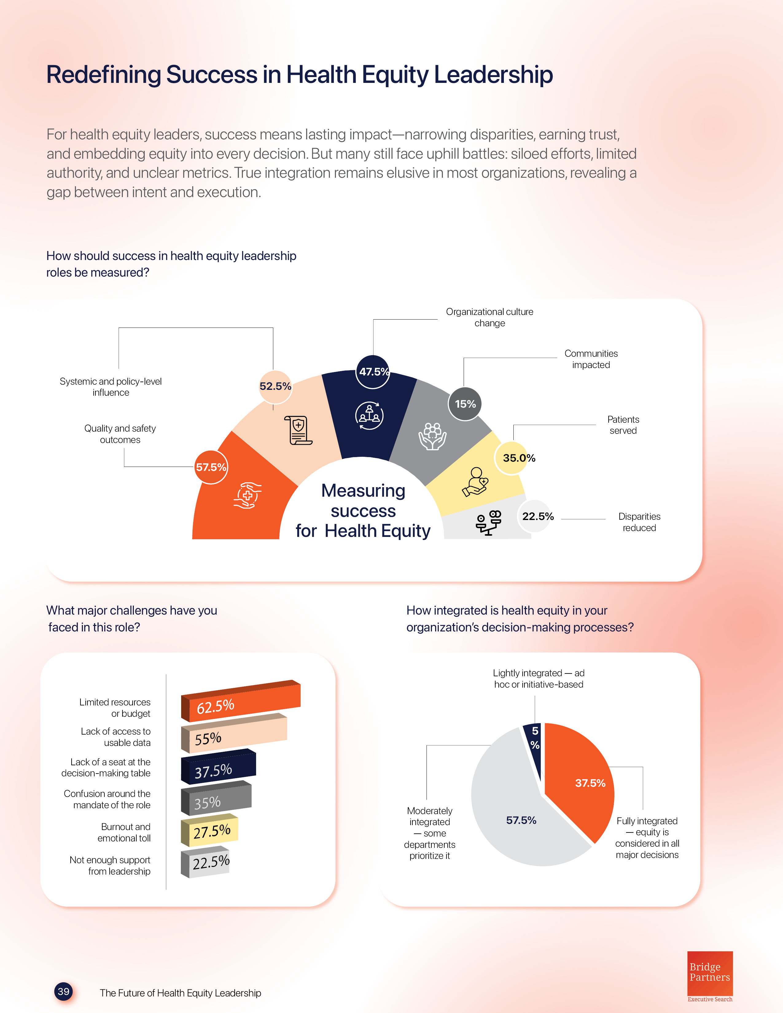 Data visualisation for Bridge Partners - New York brand brand design branded collateral branding data data visualisation data work design flexible freelance freelancer future of leadership global globaldesigner graphic design leadership new york newyork oanamaries