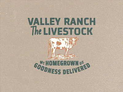 Valley Ranch Graphic Design badge brand branding cow design graphic graphic design hand drawn identity illustration logo merch merchandise ranch retro type typography vector vintage vintage design