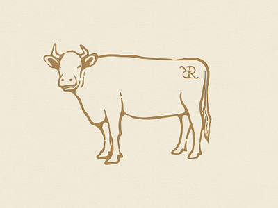 Vintage Cow Illustration badge badge design country clothing cow graphic design illlustration logo racnh rodeo t shirt t shirt design tshirt design vintage western wildwest