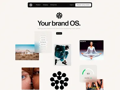 Brand OS: Corporate Brand Management Website brand management clean data data visualization design ebsite design images landing page minimalist simple ui user experience user interface ux ux design web web design