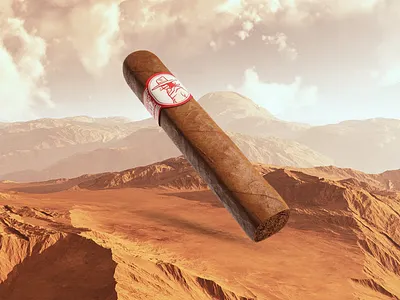 Midland - Palomino Longneck Cigars brand cigars graphic design illustration packaging