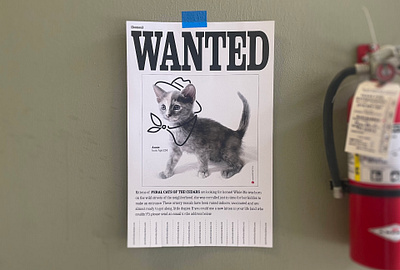 Feral Fawcett graphic design poster