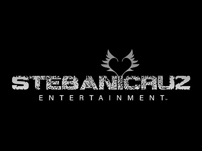 Stebani Cruz Company logo digital presence