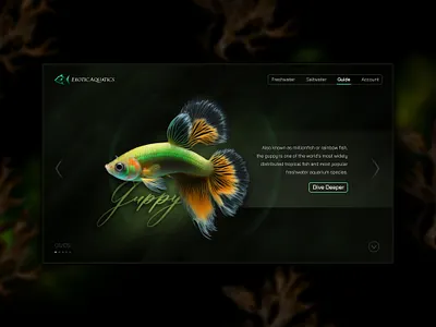 Exotic Aquatics branding graphic design landing landing page logo ui web design