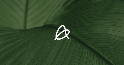 First Logo Concept for Aroka Biotech Brand biotech logo design