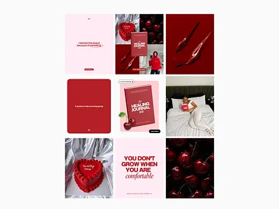 Instagram Feed / Social Media book branding cherry design instagram instagram feed journal red red book red instagram red journal social media ui wellness journal