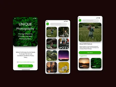 Discover the Art of Nature app design design green ui illustration minimal design mobile app mobile app design nature ui photo category app photo gallery app photography app responsive design ui ui design ui inspiration uiux design user experience user interface ux design visual explorer