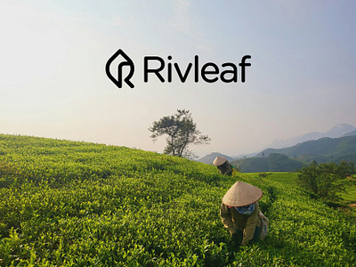 Letter R and leaf logo concept brand identity branding farm farm logo leaf logo letter r logo logo design minimal modern r logo