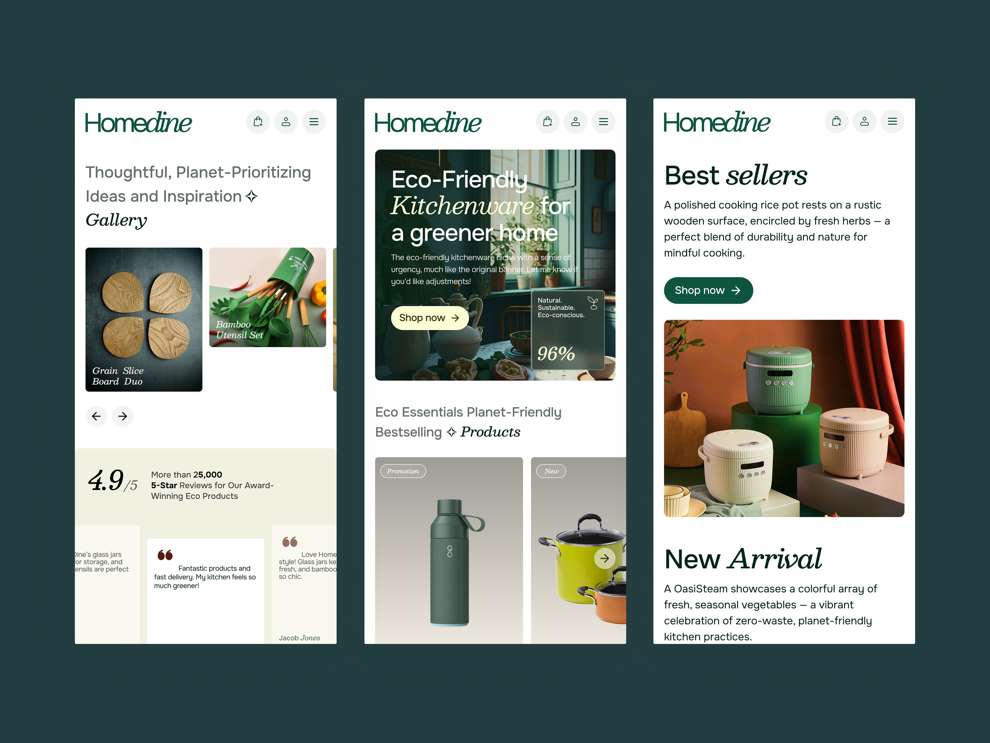 Example of Premium Custom Ecommerce Website Design